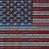 Американские законодатели в очередной раз поддержали продление программы онлайн-слежки