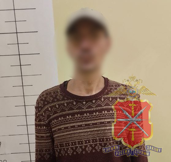 В Плавске задержан подозреваемый в разбойном нападении на пенсионера
