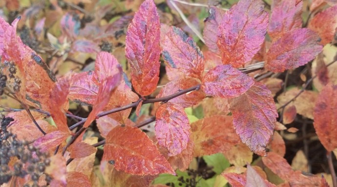 В Башкирии начнутся снегопады