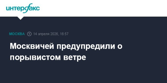 Москвичей предупредили о порывистом ветре