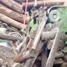 «Он весь сгнил»: очередной мост рухнул под весом большегруза в Приморье