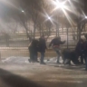 Расследование завершено: в Приморье осудят банду подростков, избивавших людей