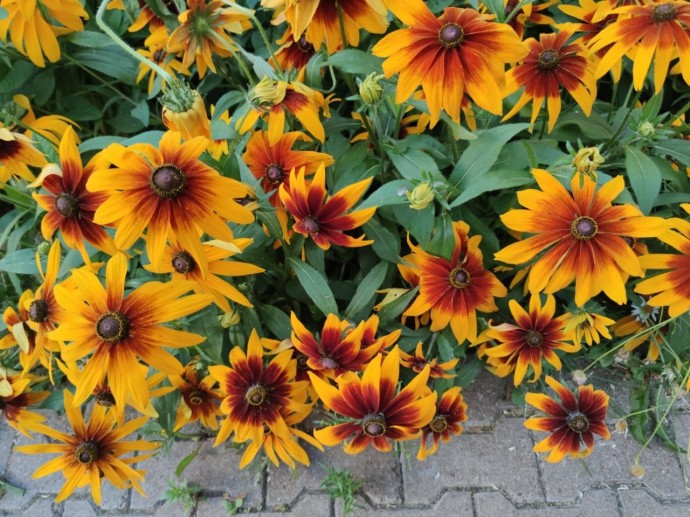 В Башкирии потеплеет до +17 градусов