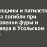 Три женщины и пятилетняя девочка погибли при столкновении фуры и кроссовера в Усольском районе