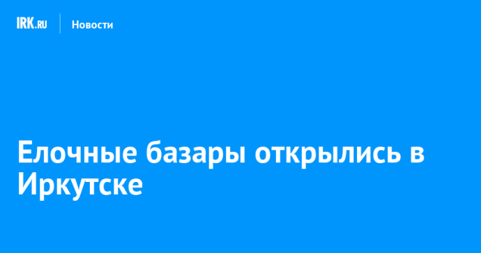 Елочные базары открылись в Иркутске