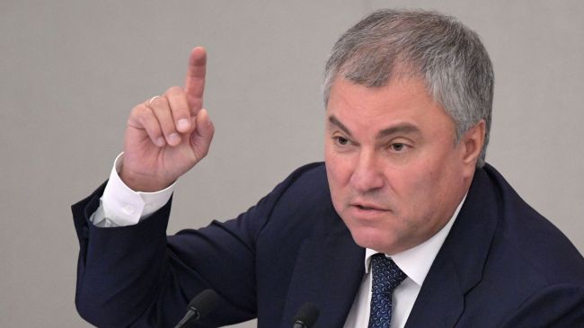 Володин анонсировал инициативу о запрете на работу курьерами лицам с судимостью