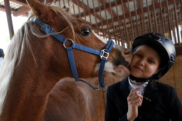 В Москве прошёл первый в стране международный турнир по пони-спорту В Москве прошёл первый в стране международный турнир по пони-спорту