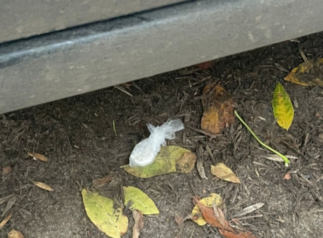 В Саранске супруги получили условный срок за хранение наркотиков