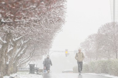 Вильфанд: Устойчивый снежный покров сформируется в Москве к концу ноября