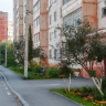 В Перми по городской программе благоустроено 28 придомовых территорий