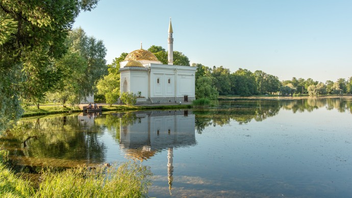 Очисткой Большого пруда Екатерининского парка займётся белый амур: тонну рыбы выпустили в водоём