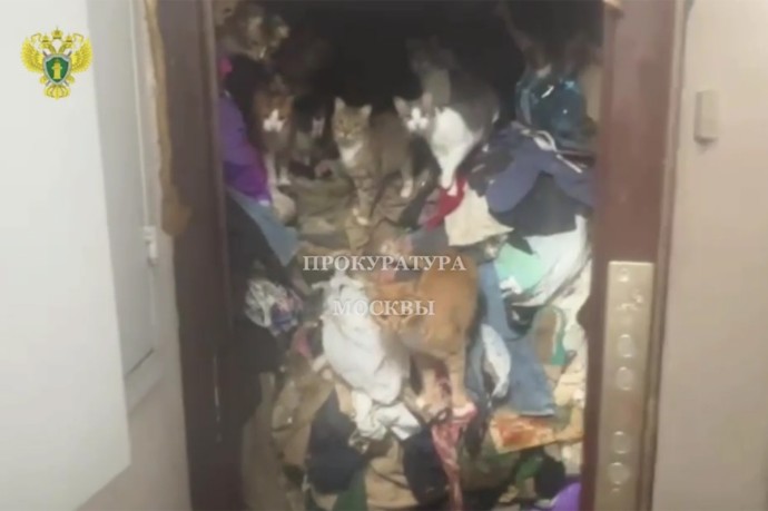 В Москве проверяющие прокуратуры вскрыли антисанитарную квартиру В Москве проверяющие прокуратуры вскрыли антисанитарную квартиру