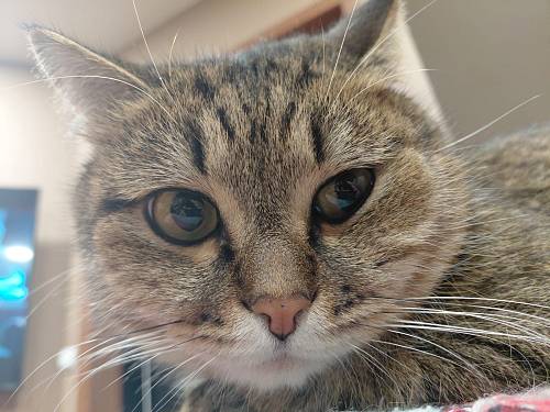 Львы зря дадут деньги в долг, Весы сболтнут лишнего Львы зря дадут деньги в долг, Весы сболтнут лишнего