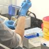 Ученые создали лекарство, которое продлевает жизнь на 20%