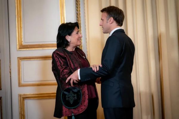 Глава МИД Грузии заявила, что Зурабишвили подложила свинью дипломатам