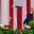 Трамп заявил о согласии Ирана отказаться от ядерного оружия