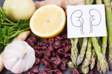 Германия — Нирвана для нефронов