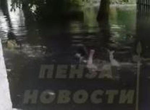 В Пензе две девочки устроили заплыв в огромной луже на Южной Поляне