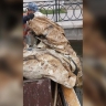 В городском канале Астрахани утопили рекламный баннер