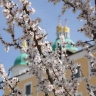 Кто из пенсионеров получит доплаты в мае 