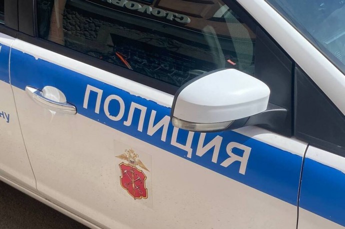 В Мурино неизвестный пугал пенсионеров ножом и мачете