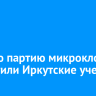 Первую партию микроклонов вырастили иркутские ученые