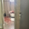 Сахалинский геймер приехал в Петербург и убил школьницу: возбуждено дело