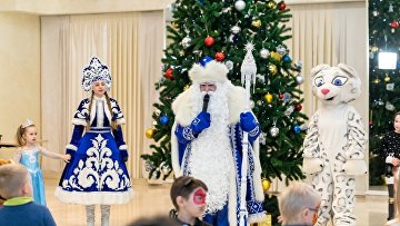 МВД предупреждает о фейковых сайтах с билетами на новогодние елки МВД предупреждает о фейковых сайтах с билетами на новогодние елки