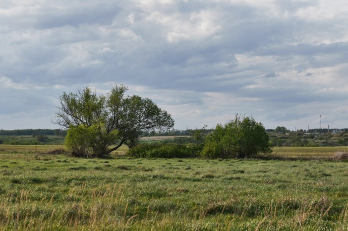 Пензенский агрохолдинг заплатит штраф за неиспользуемые сельхозземли Пензенский агрохолдинг заплатит штраф за неиспользуемые сельхозземли