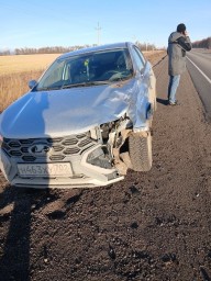 За два дня в районе Башкирии произошло три ДТП с животными