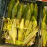 Этот полезный продукт появился в продаже по заоблачным ценам 