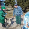 Ярославские госветврачи за прошлый год сделали животным около 170 тысяч прививок против бешенства