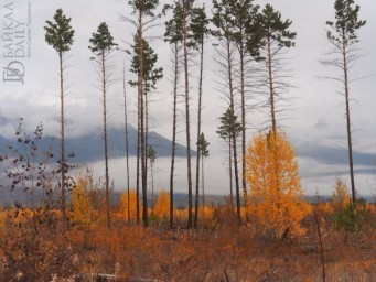 Местами по Бурятии небольшие осадки