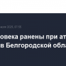 Два человека ранены при атаке дронов в Белгородской области
