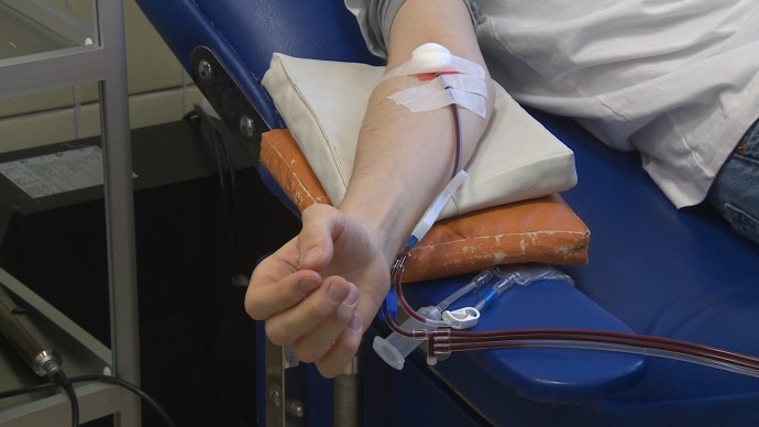 В России увеличат производство антирезусной плазмы, из которой делают иммуноглобулин для беременных