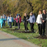 В Геленджике заложили новую аллею в честь 29 участников Великой Отечественной войны в рамках экопроекта «Дерево нашей семьи»
