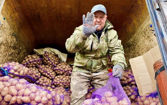 В Курске пройдут осенние плодоовощные ярмарки