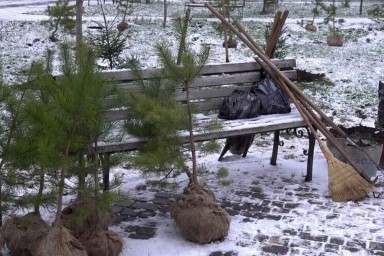 В Бердянске появился «Сад памяти»