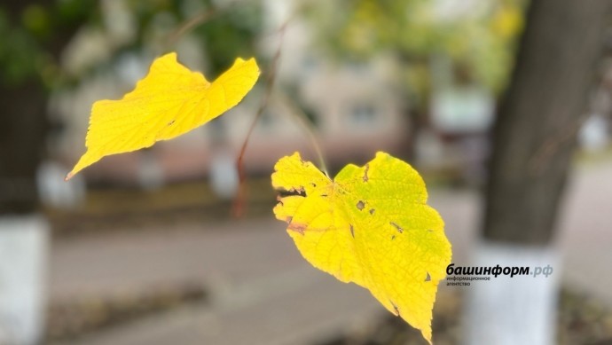 В Башкирии синоптики сообщили об аномально теплом дне ноября В Башкирии синоптики сообщили об аномально теплом дне ноября
