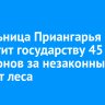 Жительница Приангарья выплатит государству 45 миллионов за незаконный экспорт леса
