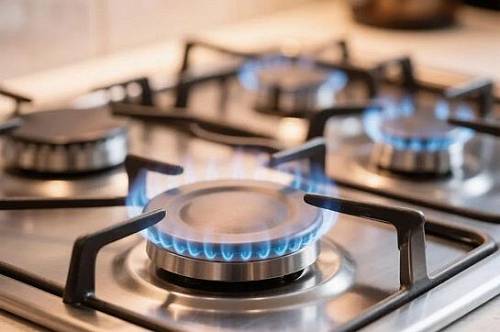 В Приамурье субсидии на газификацию домов получили уже 147 льготников В Приамурье субсидии на газификацию домов получили уже 147 льготников