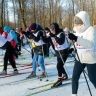 В Парке Солянка прошёл лыжный кросс для работников образования Курска...