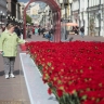 Зеленые оазисы появились в Москве в рамках фестиваля «Сады и цветы»
