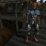 Сценарист TES III Morrowind поведал историю появления в игре самого известного рассказа