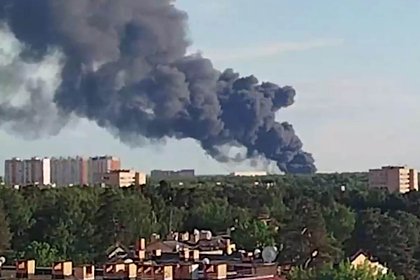 Мощный пожар в Подмосковье попал на видео