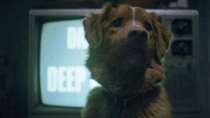 Пёс из «Глазами пса» выиграл премию за лучшую актёрскую игру Пёс из «Глазами пса» выиграл премию за лучшую актёрскую игру