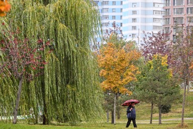В Москве ожидаются облачная погода и до 8 градусов тепла