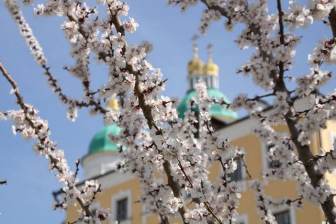Кто из пенсионеров получит доплаты в мае 