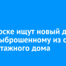 В Ангарске ищут новый дом коту, выброшенному из окна шестиэтажного дома