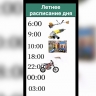 Москвичи сделали веселый ролик про летний распорядок дня